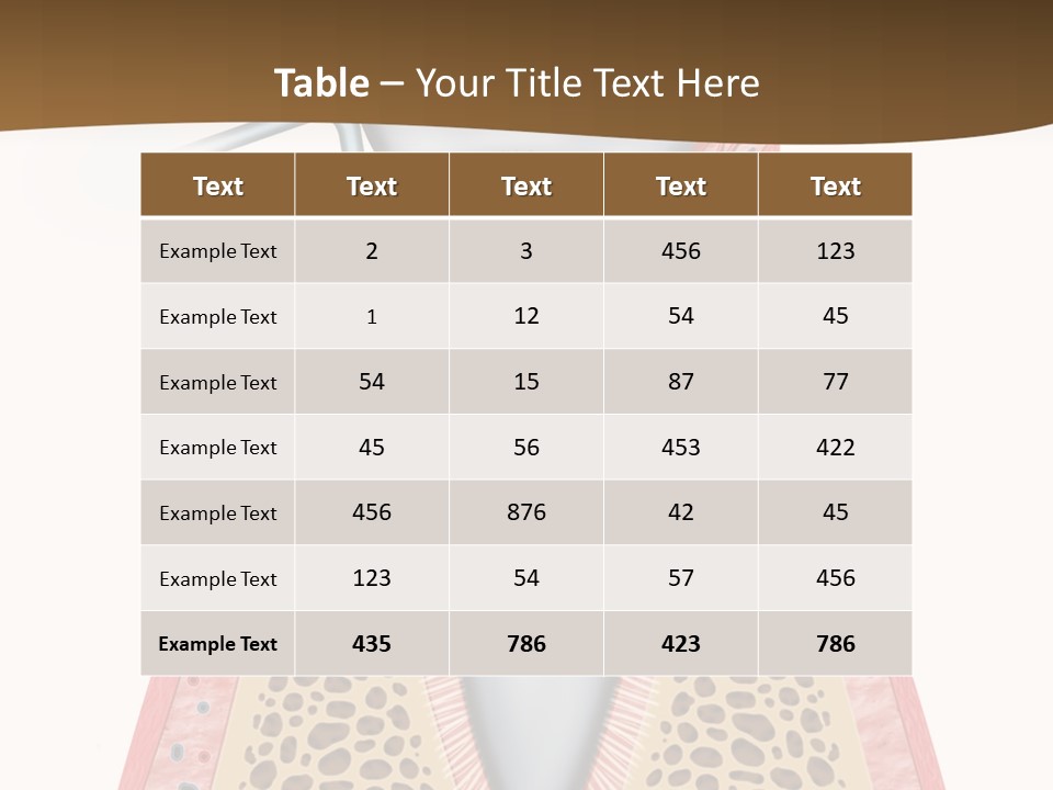 Tartar Porcelain Health PowerPoint Template