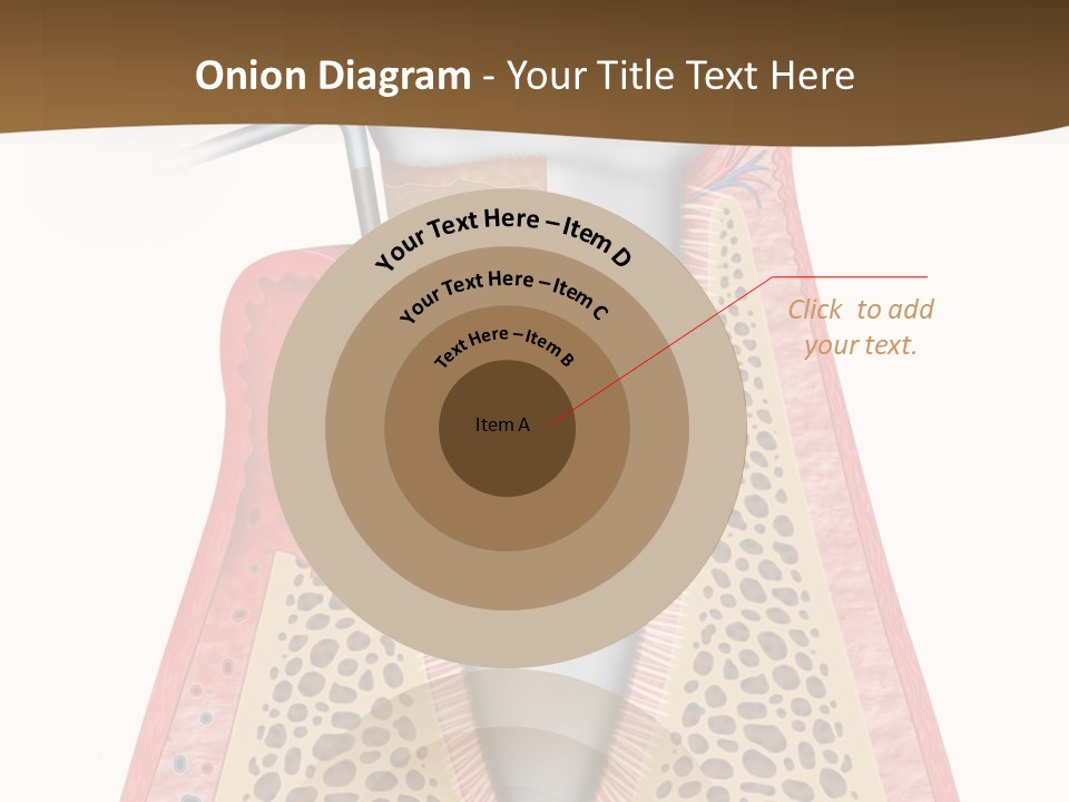 Tartar Porcelain Health PowerPoint Template