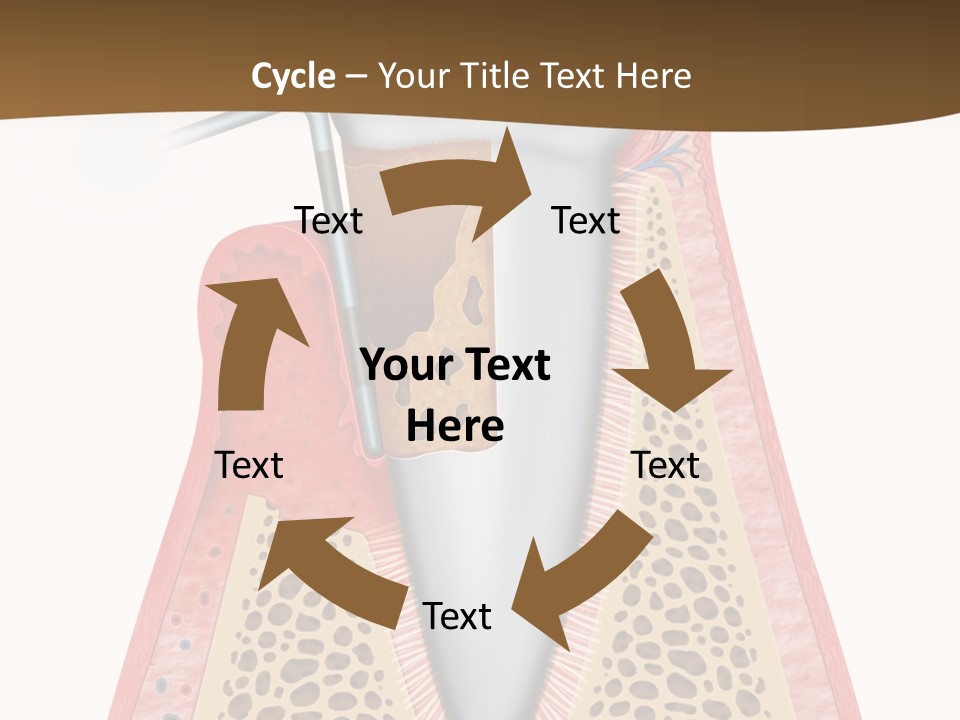 Tartar Porcelain Health PowerPoint Template
