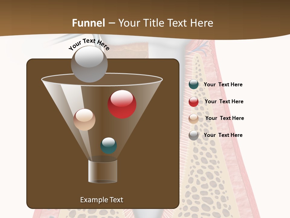 Tartar Porcelain Health PowerPoint Template