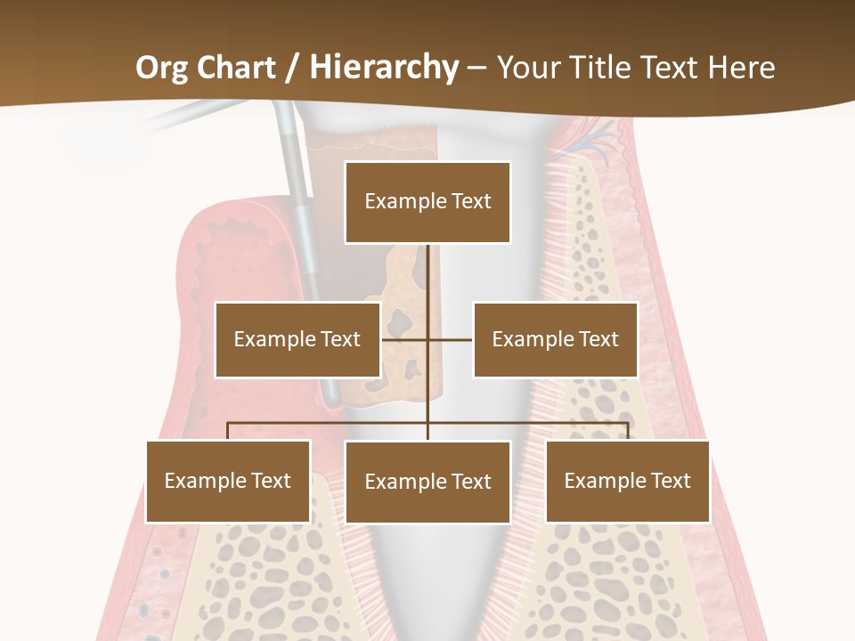 Tartar Porcelain Health PowerPoint Template