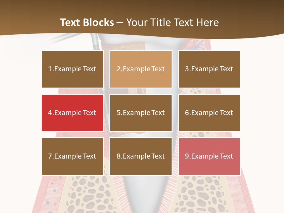 Tartar Porcelain Health PowerPoint Template