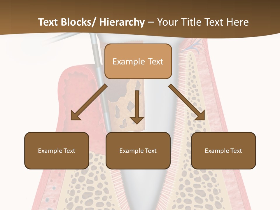 Tartar Porcelain Health PowerPoint Template