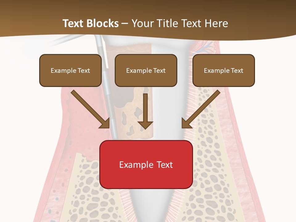 Tartar Porcelain Health PowerPoint Template