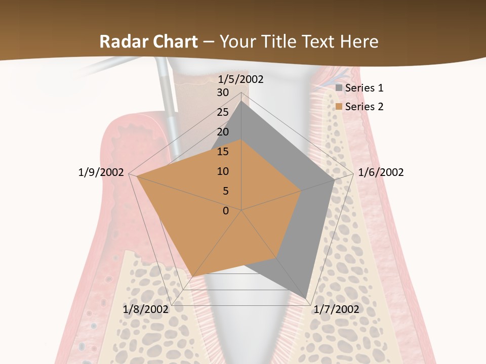 Tartar Porcelain Health PowerPoint Template