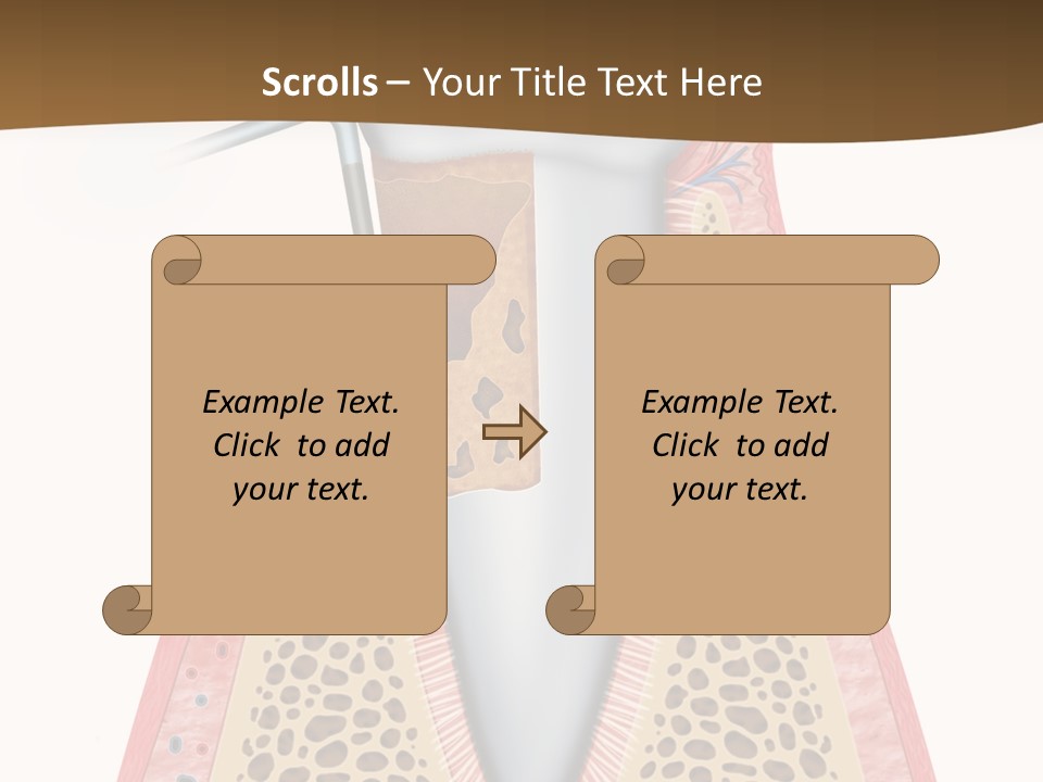 Tartar Porcelain Health PowerPoint Template