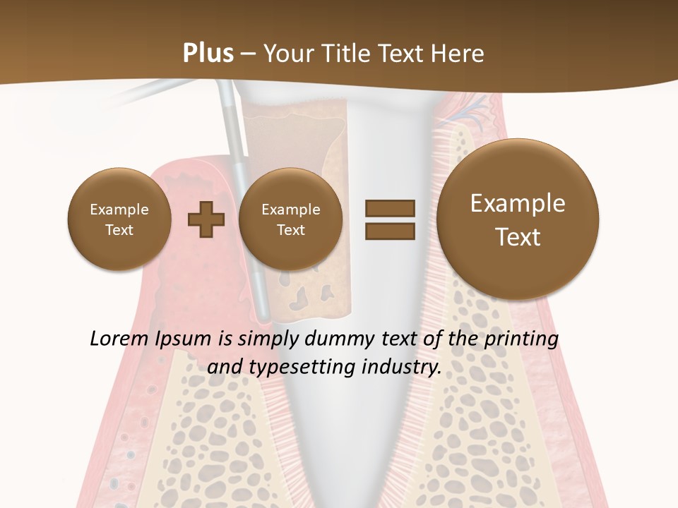 Tartar Porcelain Health PowerPoint Template