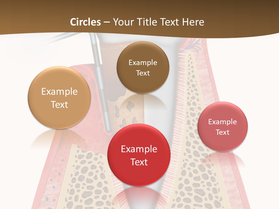 Tartar Porcelain Health PowerPoint Template