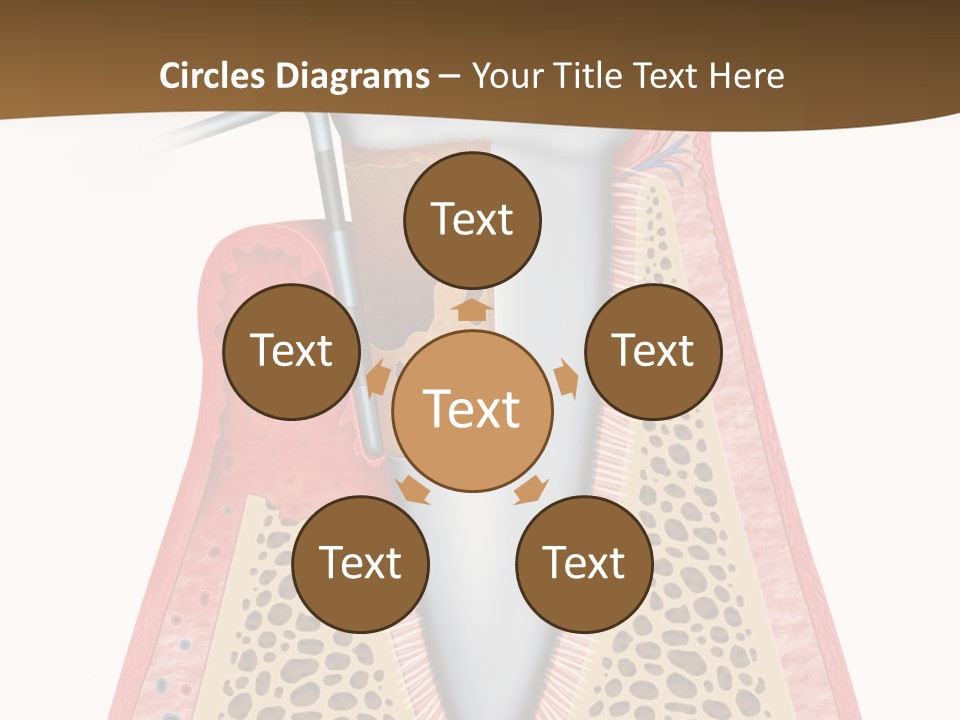 Tartar Porcelain Health PowerPoint Template