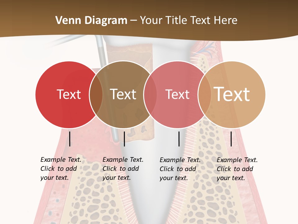 Tartar Porcelain Health PowerPoint Template