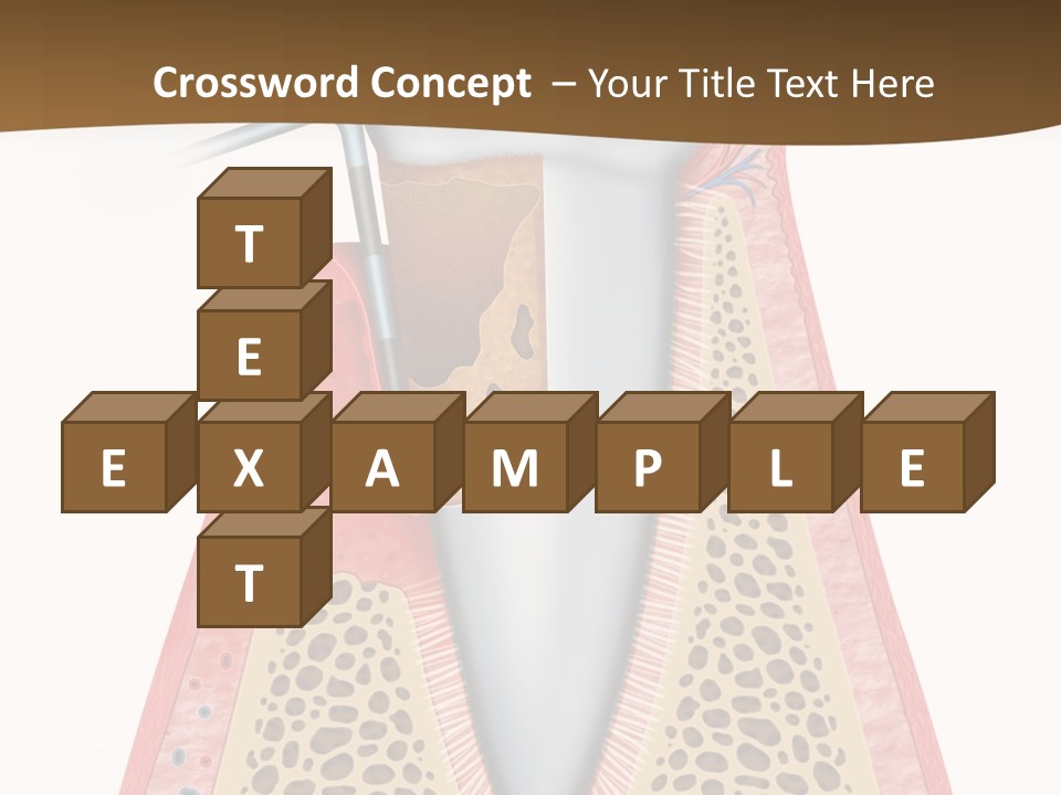 Tartar Porcelain Health PowerPoint Template