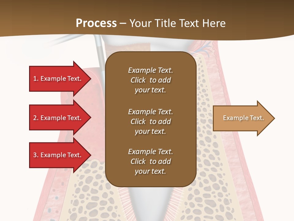 Tartar Porcelain Health PowerPoint Template