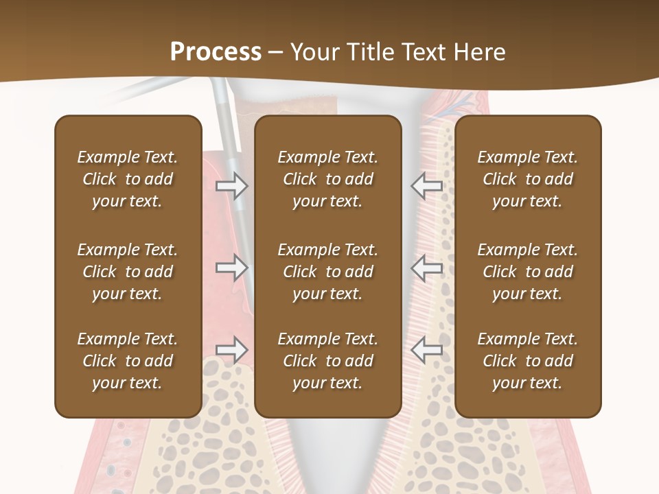 Tartar Porcelain Health PowerPoint Template