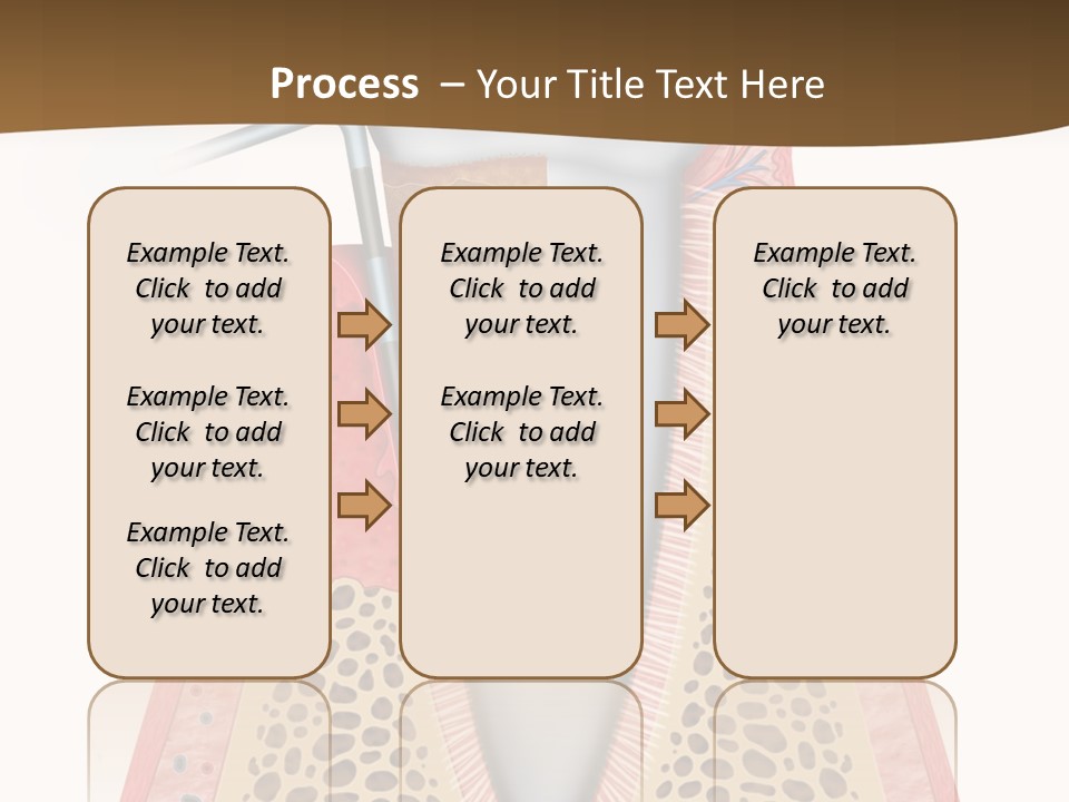 Tartar Porcelain Health PowerPoint Template