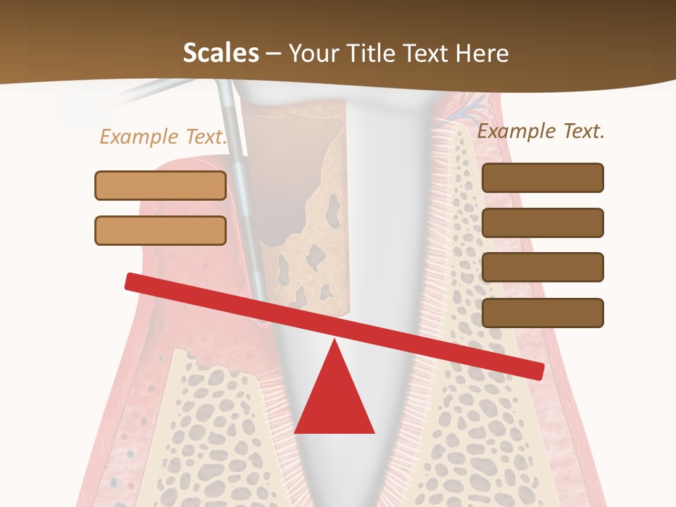 Tartar Porcelain Health PowerPoint Template