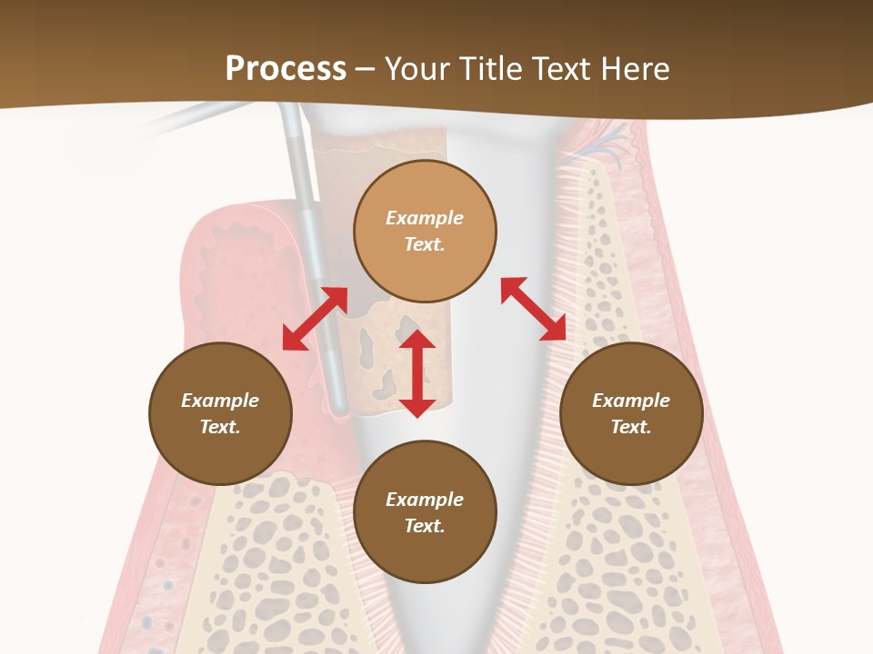Tartar Porcelain Health PowerPoint Template