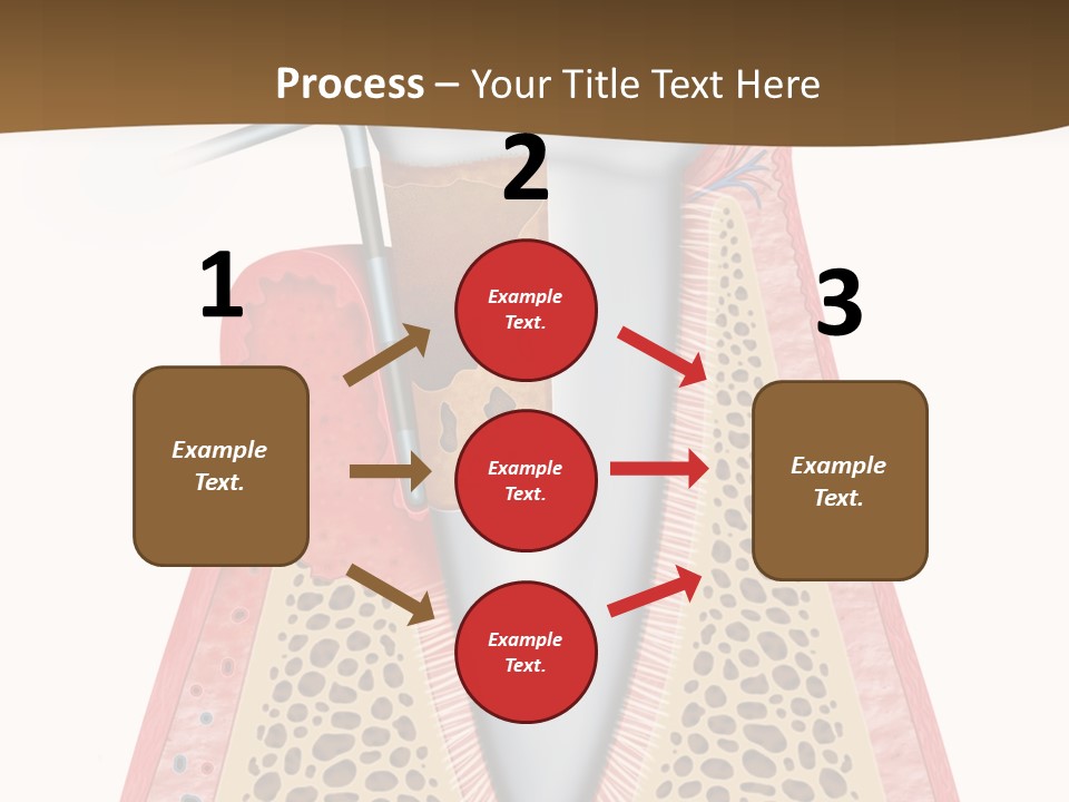 Tartar Porcelain Health PowerPoint Template