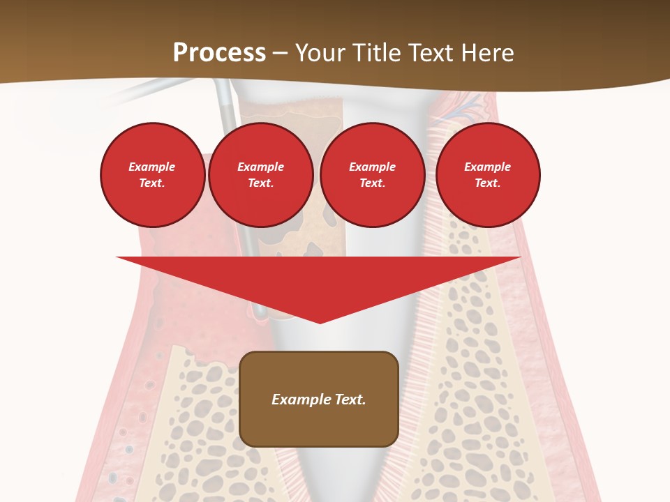 Tartar Porcelain Health PowerPoint Template