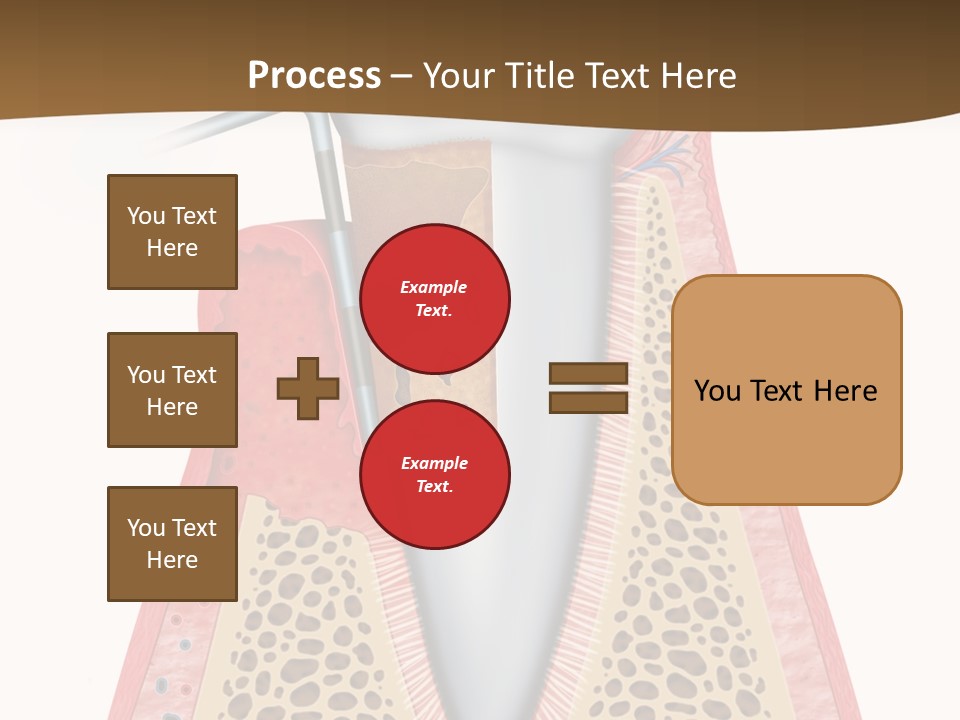 Tartar Porcelain Health PowerPoint Template