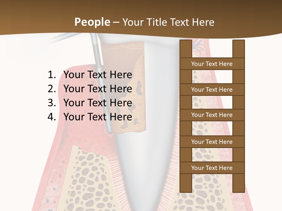 Tartar Porcelain Health PowerPoint Template