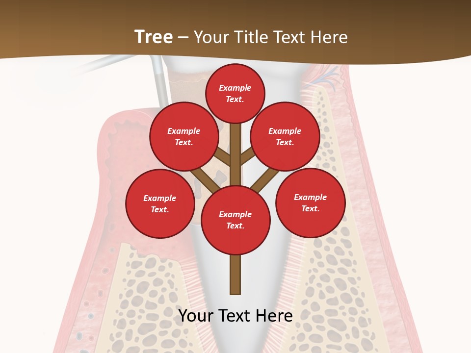 Tartar Porcelain Health PowerPoint Template