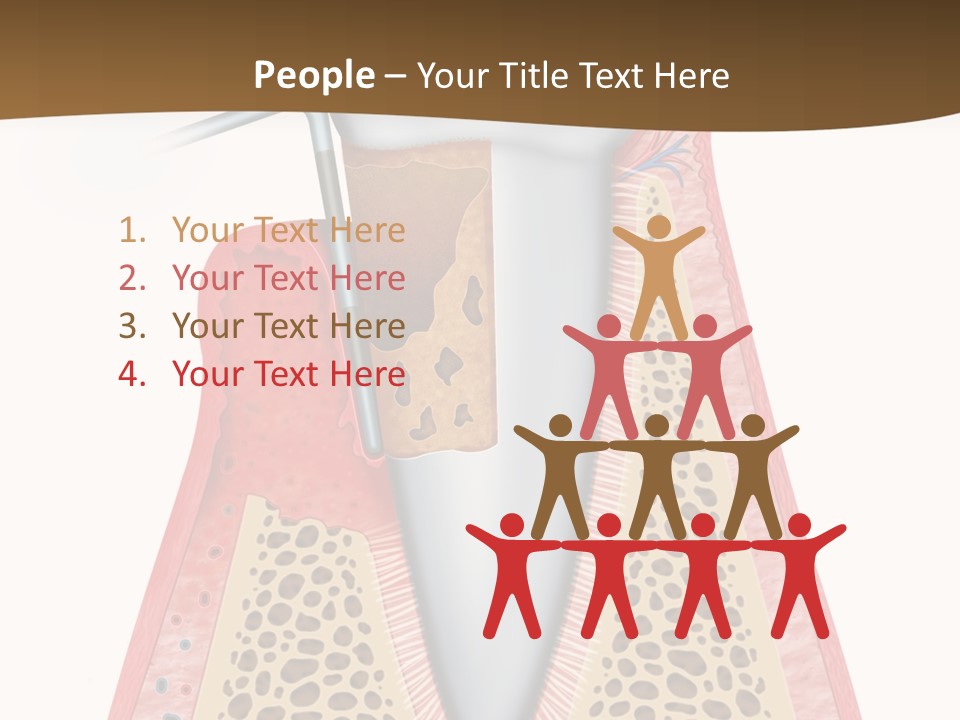 Tartar Porcelain Health PowerPoint Template