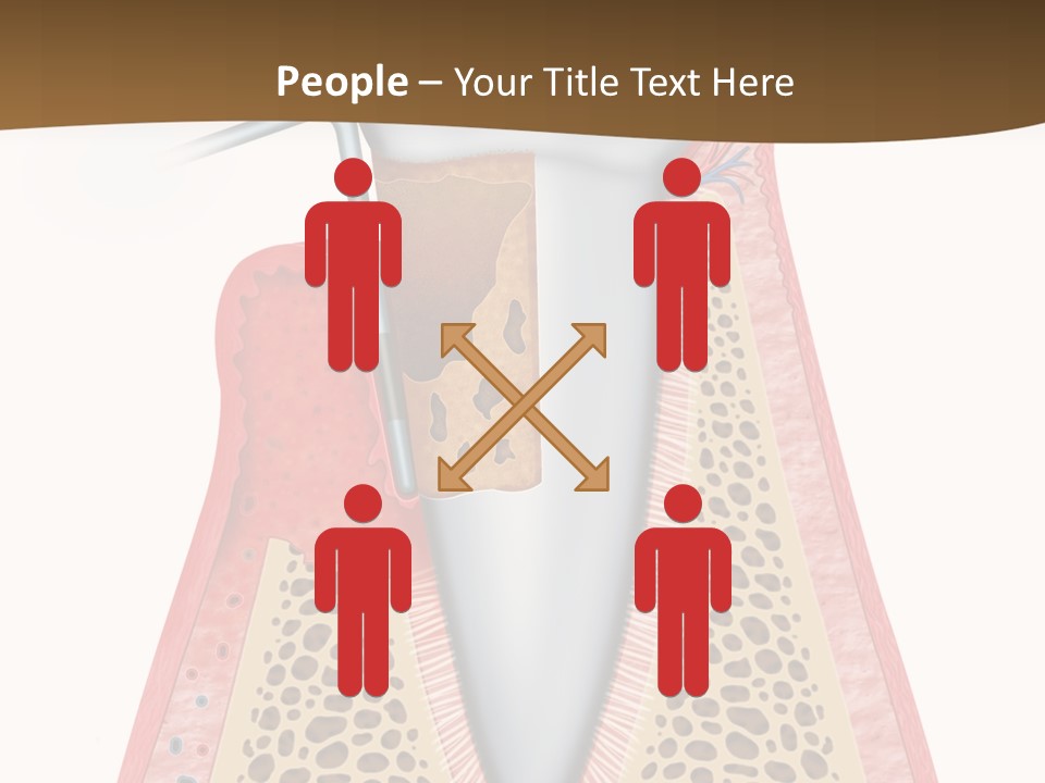 Tartar Porcelain Health PowerPoint Template