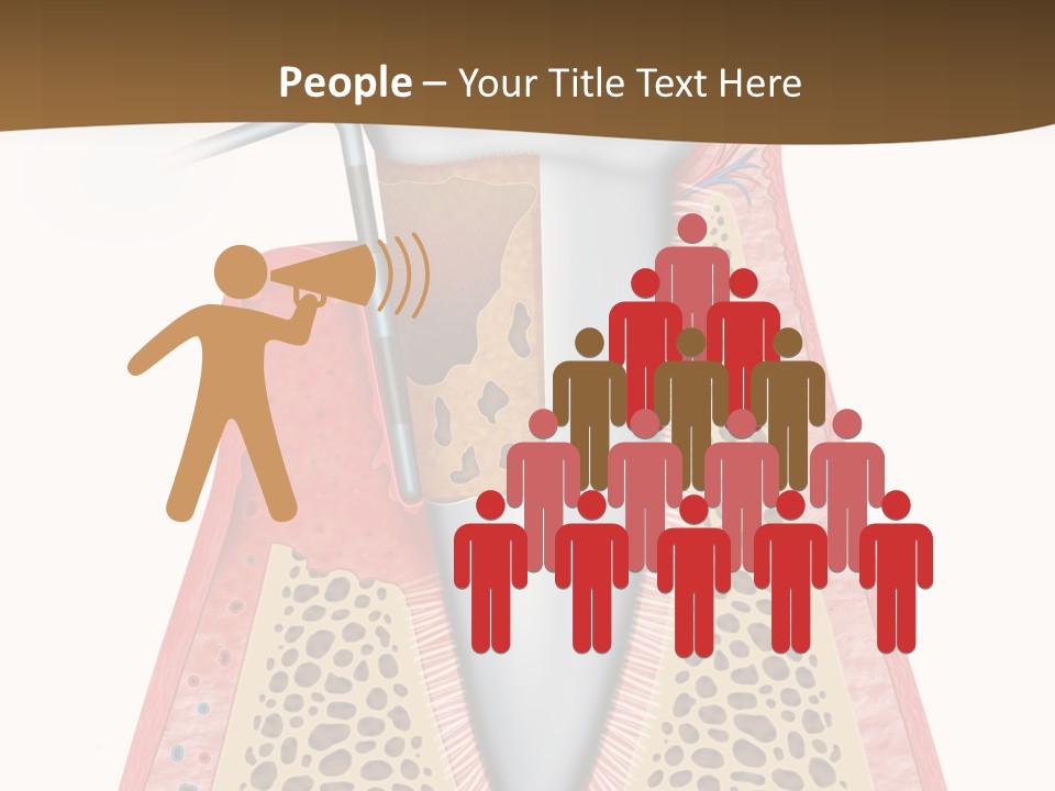 Tartar Porcelain Health PowerPoint Template