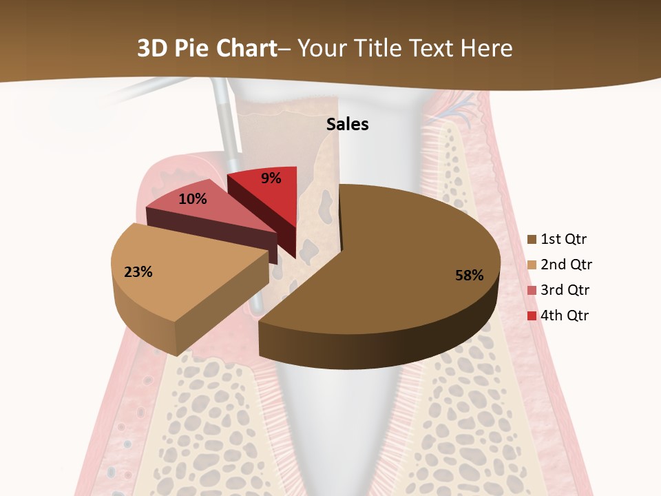 Tartar Porcelain Health PowerPoint Template