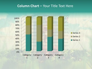 Day Colour Read PowerPoint Template