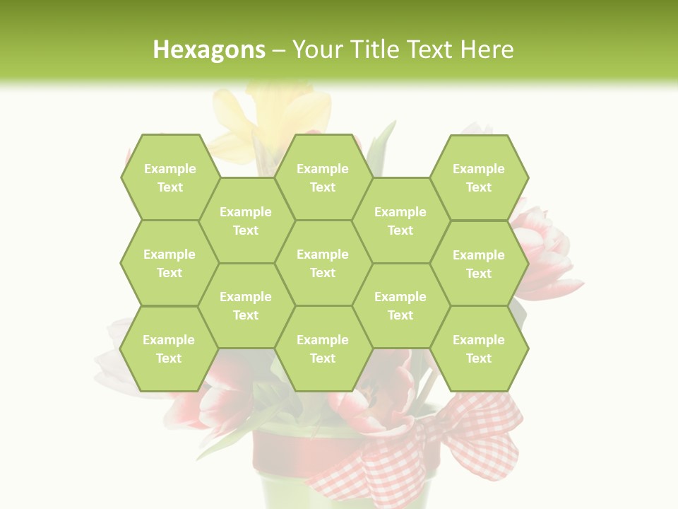 Green Close Up Isolated PowerPoint Template