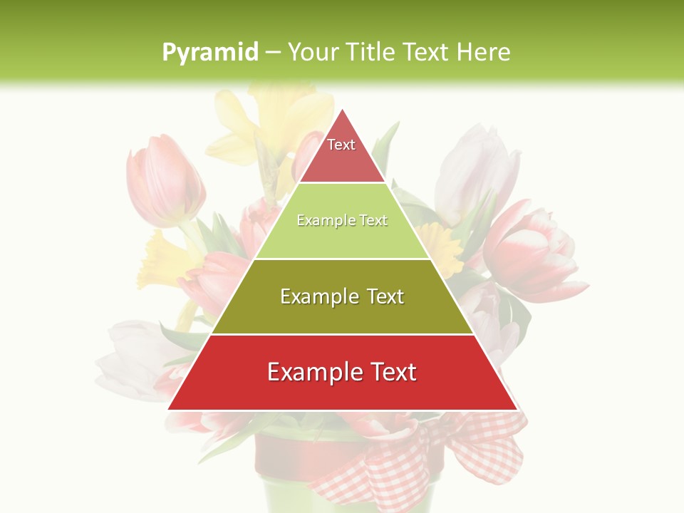 Green Close Up Isolated PowerPoint Template