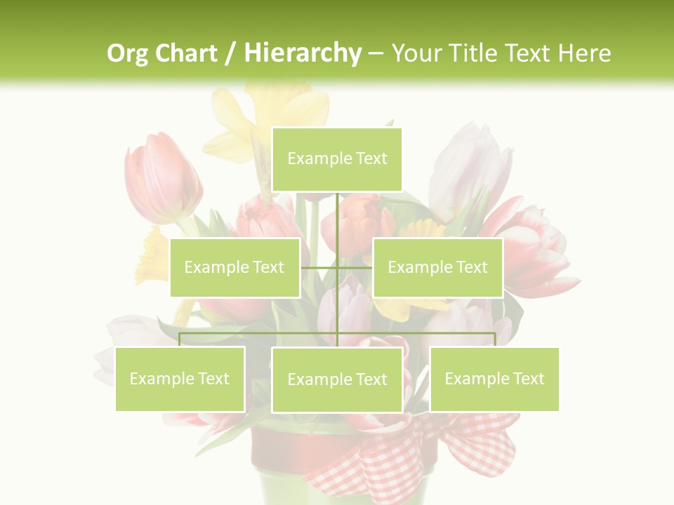 Green Close Up Isolated PowerPoint Template