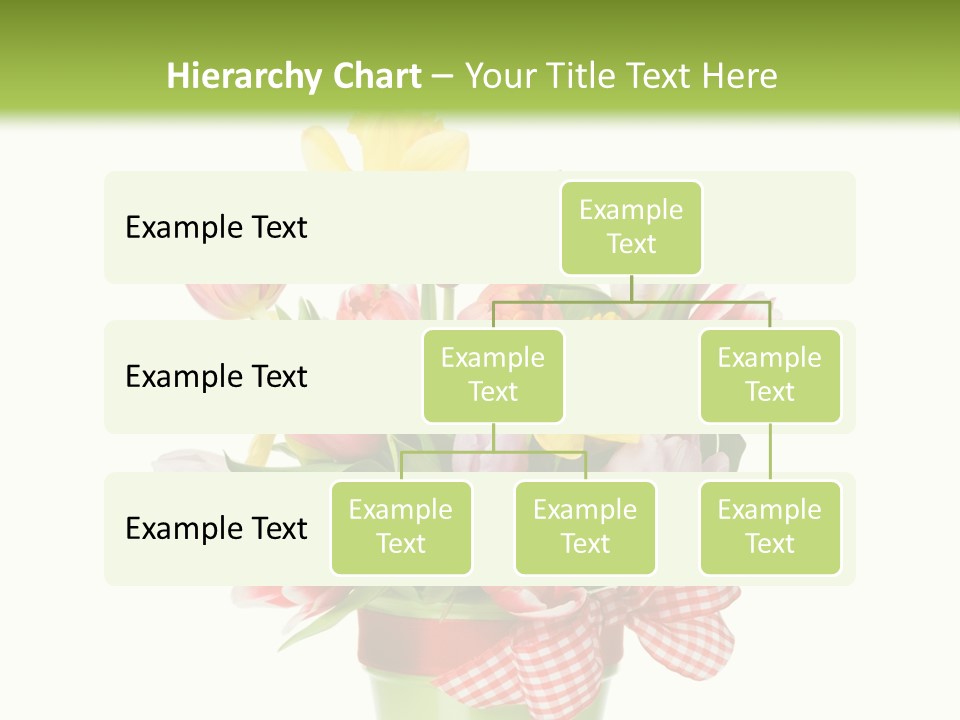 Green Close Up Isolated PowerPoint Template