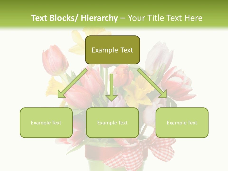 Green Close Up Isolated PowerPoint Template