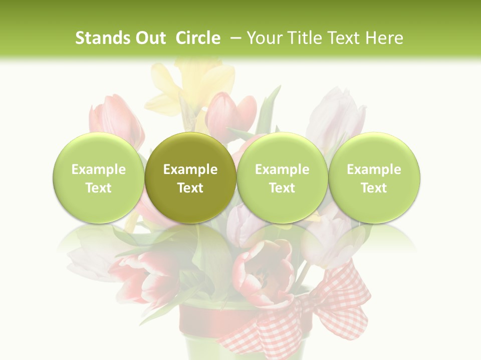 Green Close Up Isolated PowerPoint Template