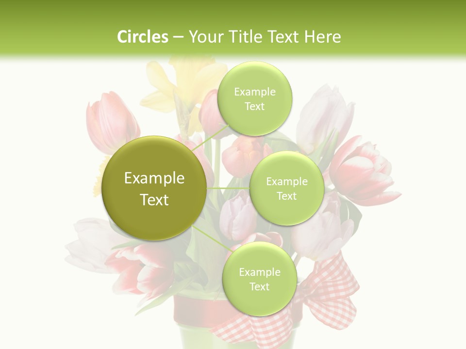 Green Close Up Isolated PowerPoint Template