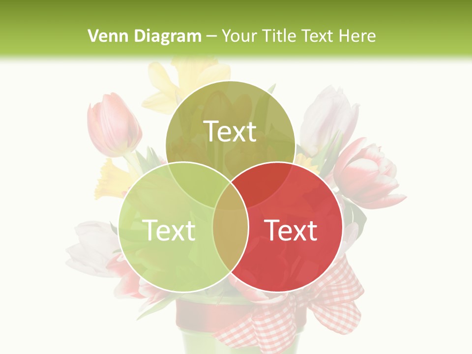 Green Close Up Isolated PowerPoint Template