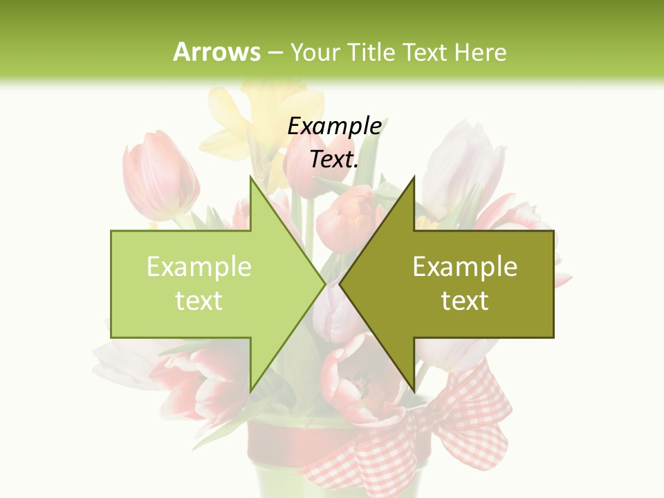Green Close Up Isolated PowerPoint Template