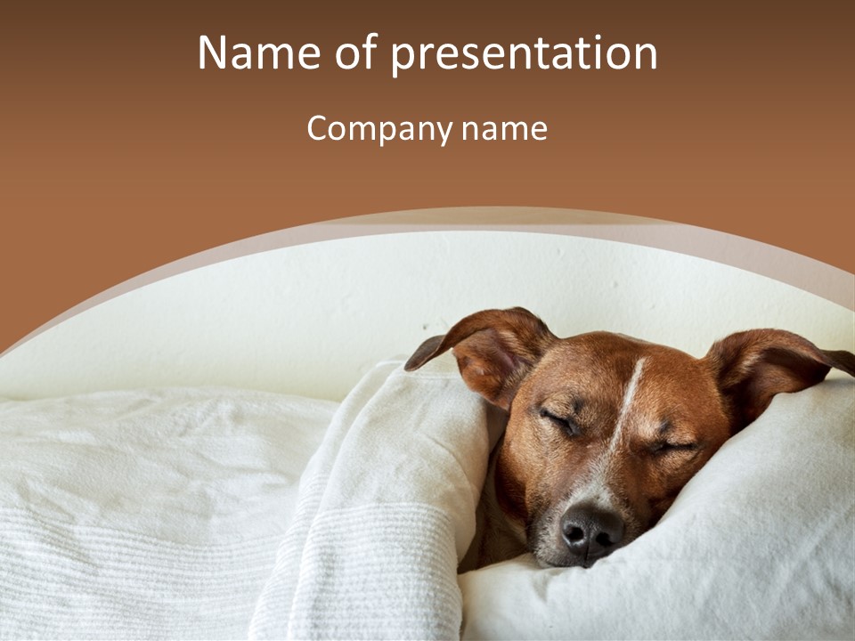 Ill Animal Sleep PowerPoint Template