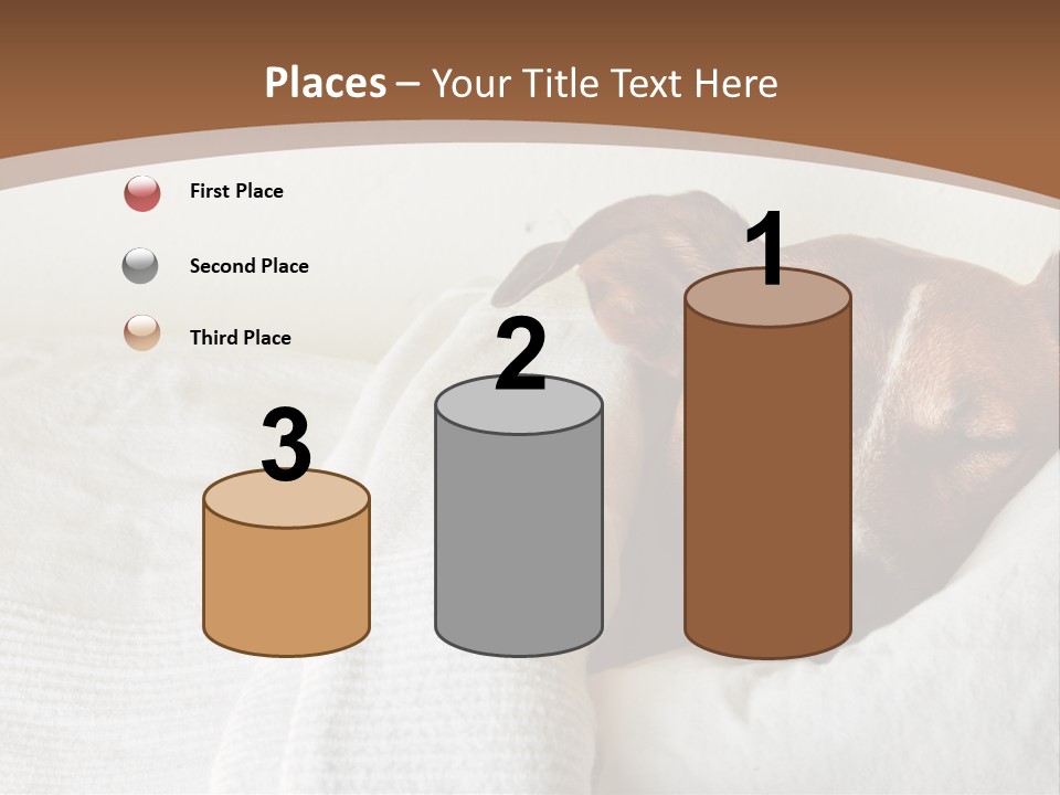 Ill Animal Sleep PowerPoint Template