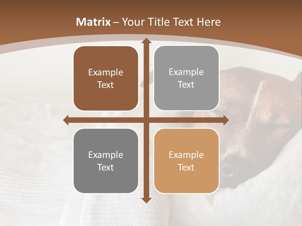 Ill Animal Sleep PowerPoint Template