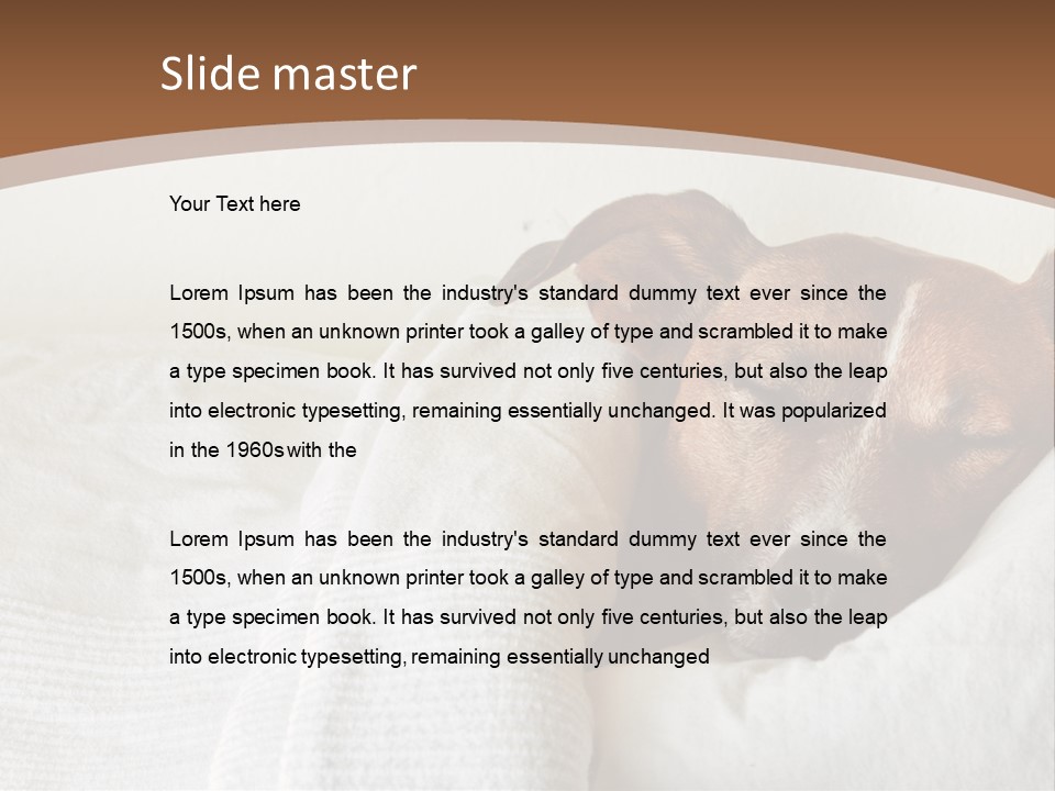 Ill Animal Sleep PowerPoint Template