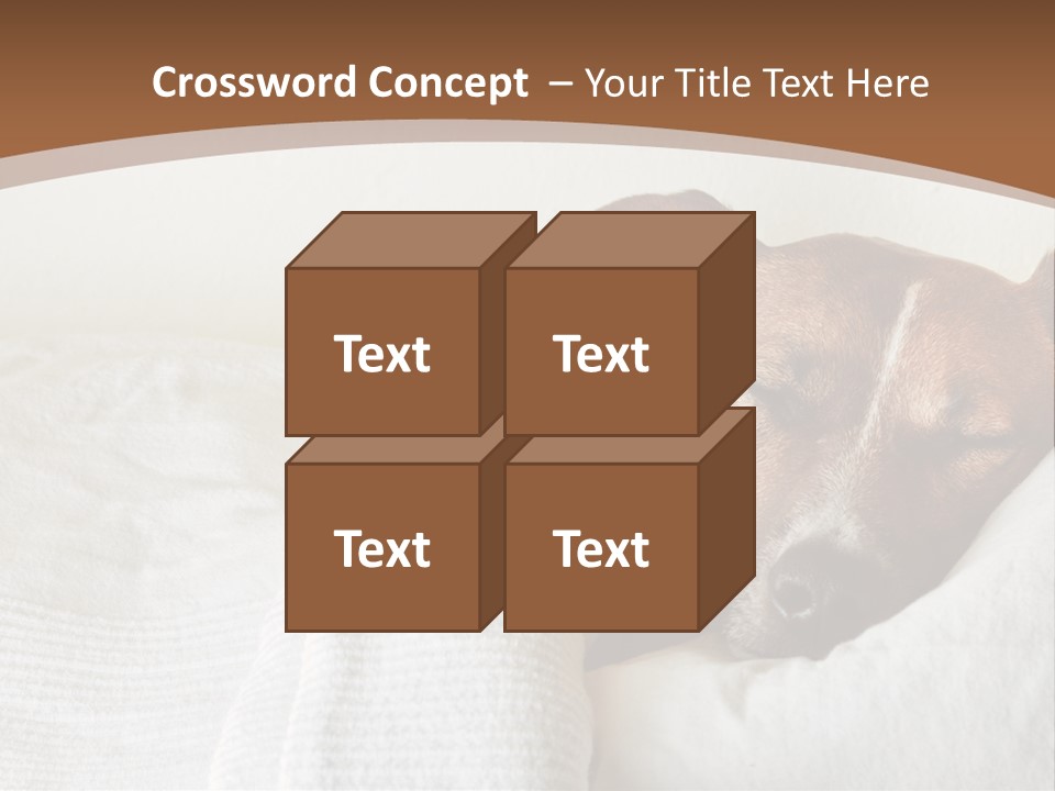 Ill Animal Sleep PowerPoint Template