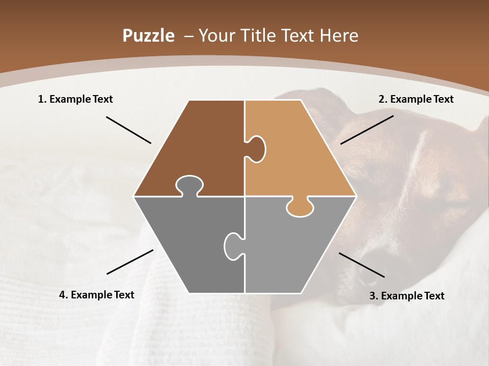 Ill Animal Sleep PowerPoint Template