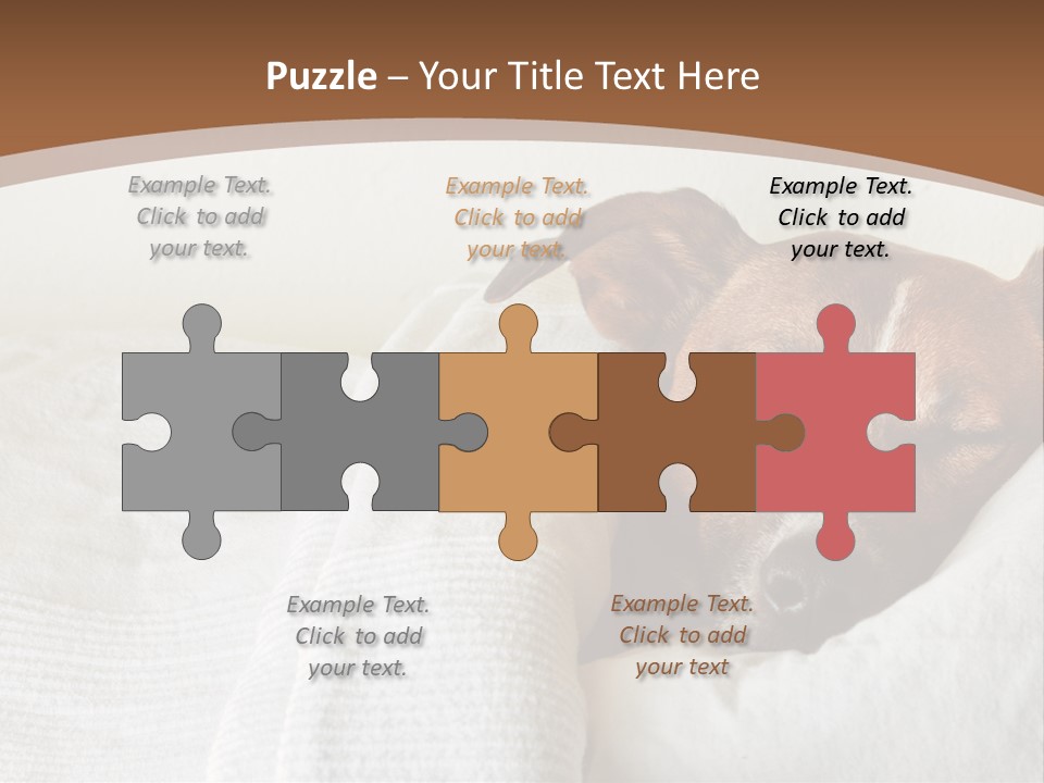 Ill Animal Sleep PowerPoint Template