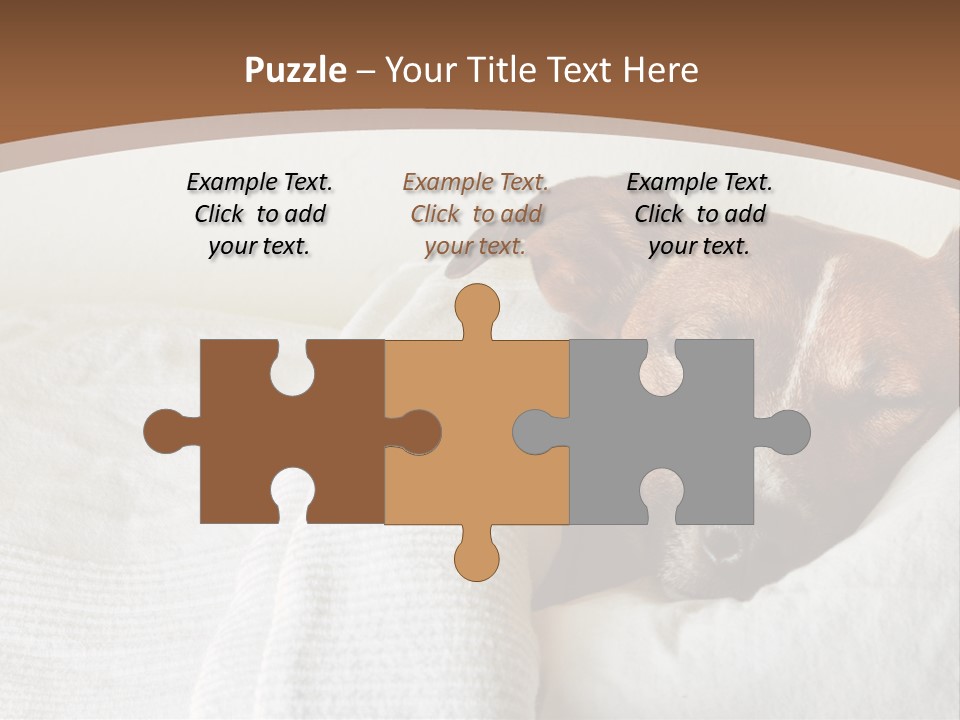 Ill Animal Sleep PowerPoint Template