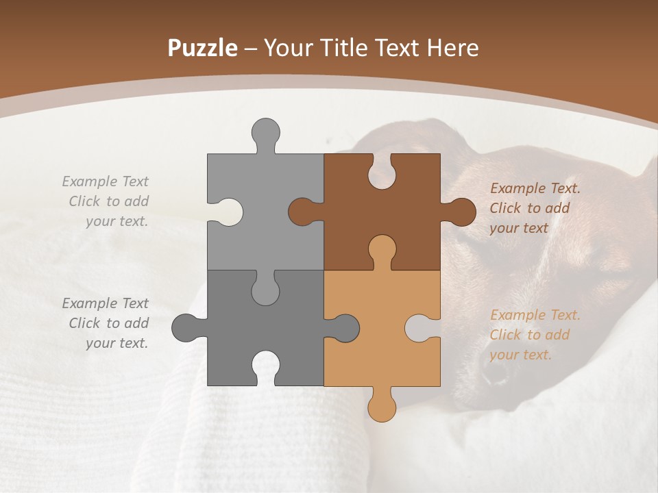 Ill Animal Sleep PowerPoint Template