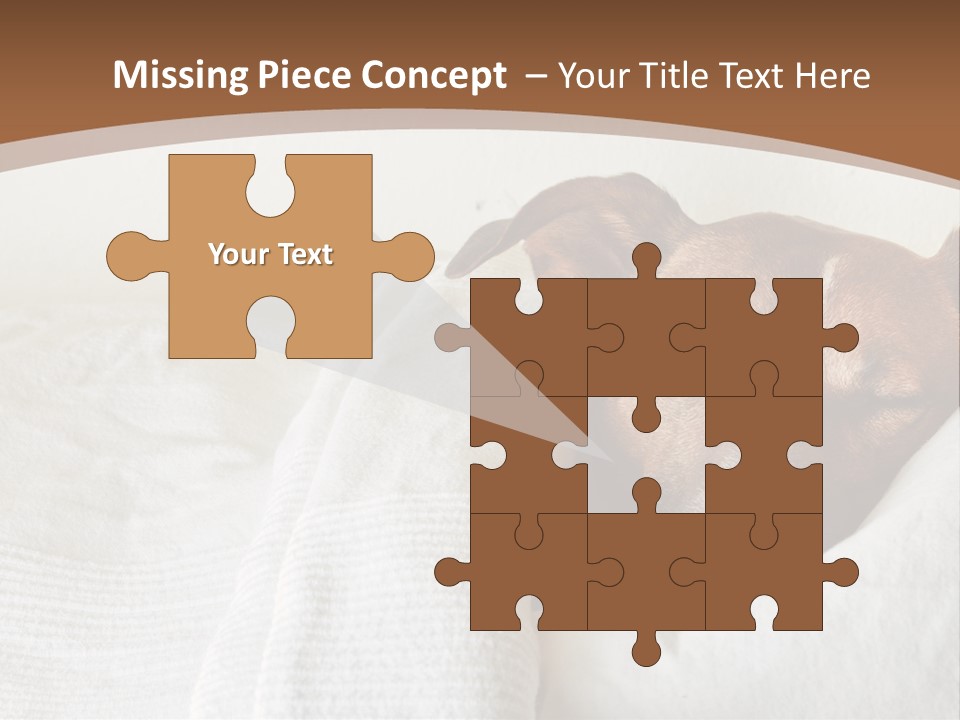 Ill Animal Sleep PowerPoint Template