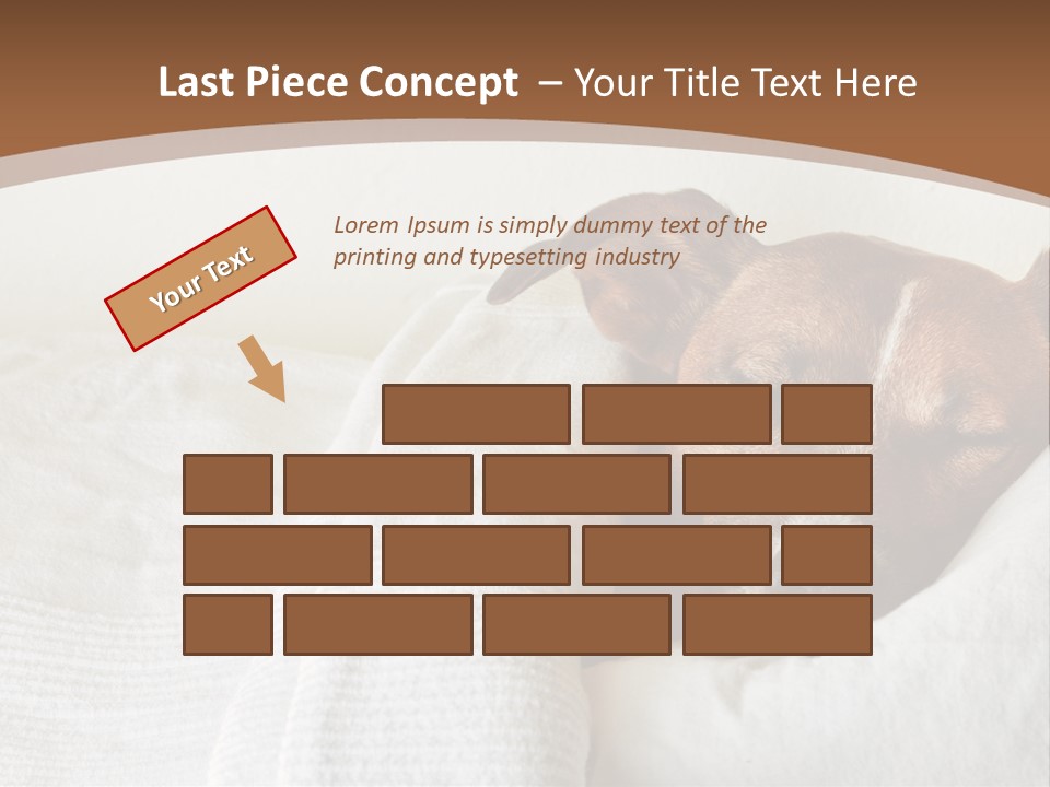 Ill Animal Sleep PowerPoint Template